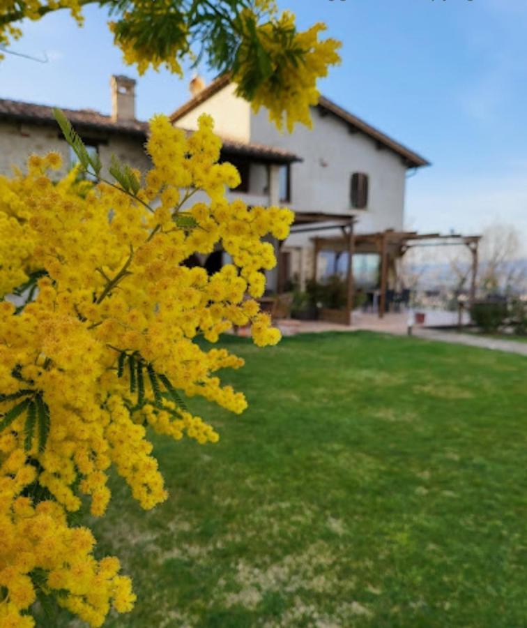 Casale Mille E Una Notte Perugia Exterior foto